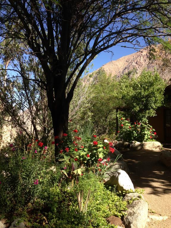 Fotografía 14 de Cabañas Naturistas El Albaricoque en Paihuano, Coquimbo