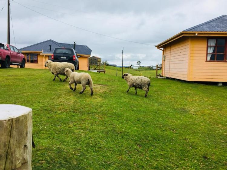 Fotografía 15 de Cabañas y Qunicho Rukawe en Castro, Los Lagos