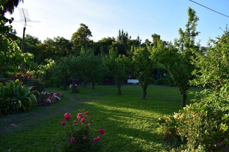 Fotografía 7 de Alojamiento Rural Casaquinta Peumayen en Isla De Maipo, Metropolitana