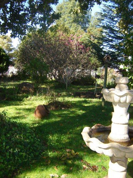 Fotografía 17 de Cabañas Paraiso Perdido en Quillon, Bio Bio