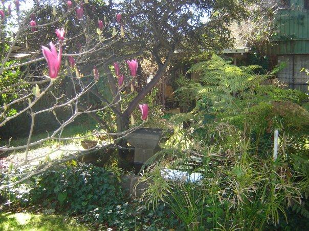 Fotografía 18 de Cabañas Paraiso Perdido en Quillon, Bio Bio