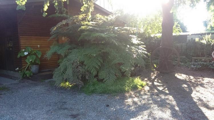 Fotografía 5 de Cabañas Quitral en Puerto Varas, Los Lagos