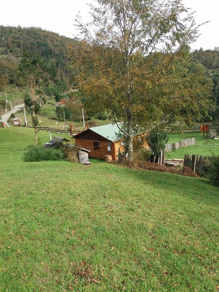 Fotografía 6 de Cabañas RukaleufÃ¼ en Futrono, Los Rios