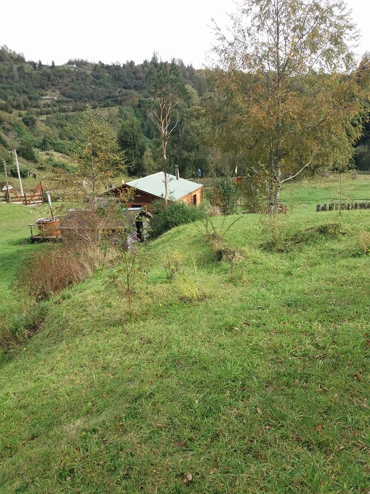 Fotografía 9 de Cabañas RukaleufÃ¼ en Futrono, Los Rios