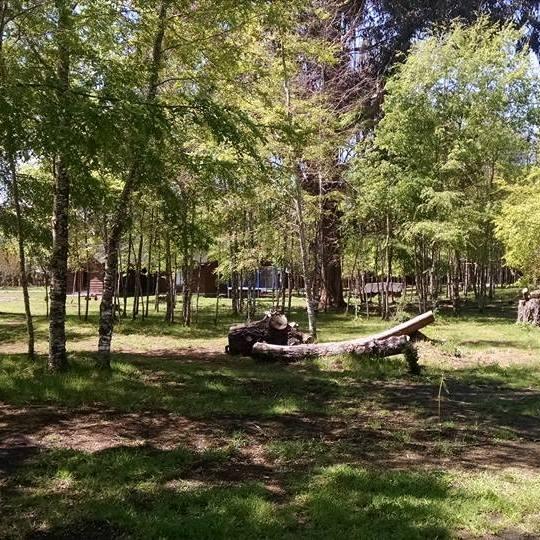 Fotografía 2 de Cabañas Pucon entre Hualles y Pellines en Pucon, Araucania