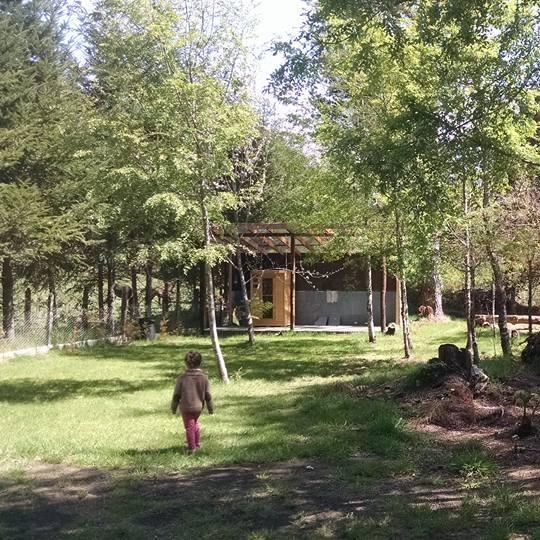 Fotografía 3 de Cabañas Pucon entre Hualles y Pellines en Pucon, Araucania