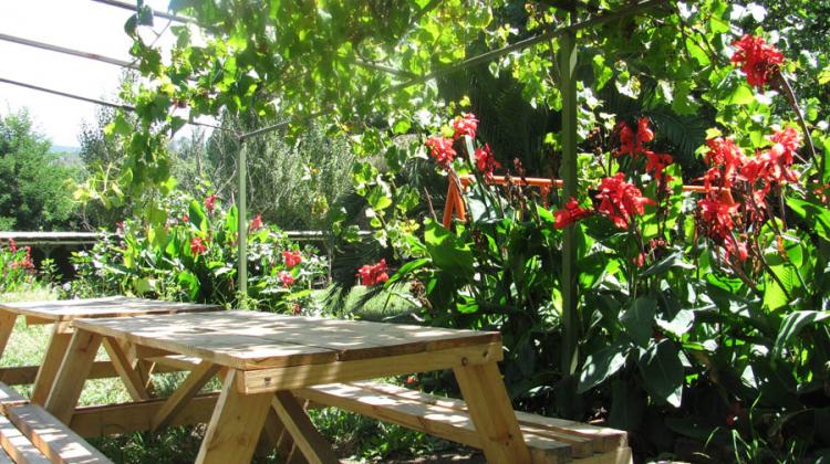 Fotografía 10 de Cabañas Y Piscinas Las Tinajas en Hualqui, Bio Bio