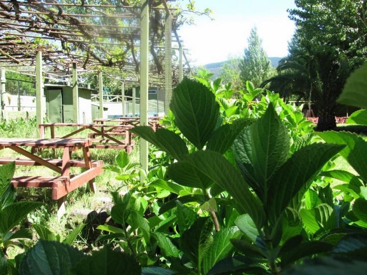 Fotografía 11 de Cabañas Y Piscinas Las Tinajas en Hualqui, Bio Bio