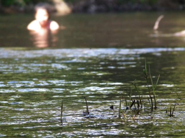 Fotografía 5 de Complejo Turistico Paraiso en Pinto, Bio Bio