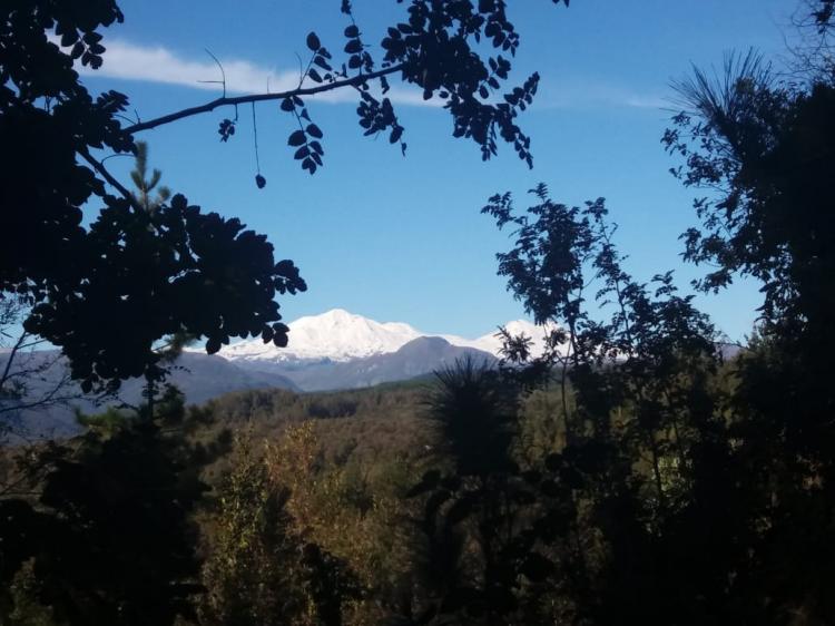 Fotografía 5 de Cabaña Borde Loma en Pinto, Bio Bio