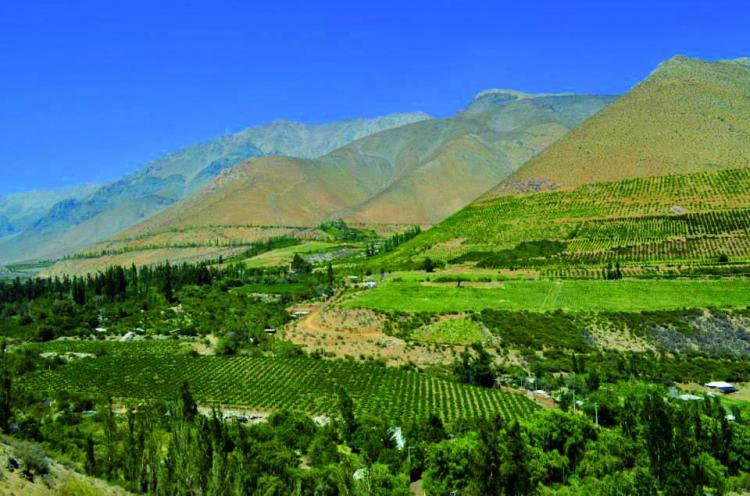 Fotografía 16 de Cabañas en altura en pleno Valle de Elqui en Paihuano, Coquimbo