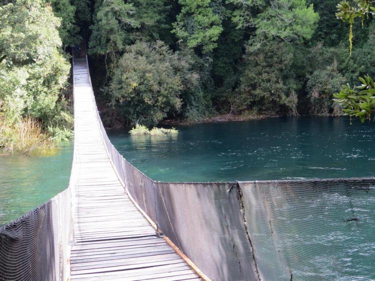 Fotografía 4 de Cabaña Los Coigues 2308 en Panguipulli, Los Rios