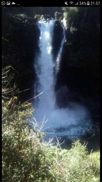 Fotografía 2 de Cabañas en Huilo Huilo Neltume en Panguipulli, Los Rios