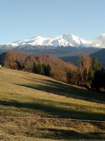 Fotografía 4 de Cabañas en Huilo Huilo Neltume en Panguipulli, Los Rios