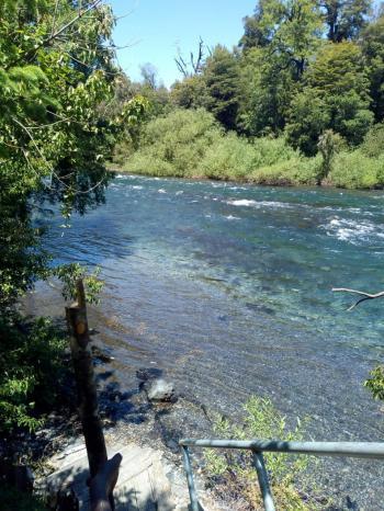 Fotografía 10 de Cabañas en Huilo Huilo Neltume en Panguipulli, Los Rios