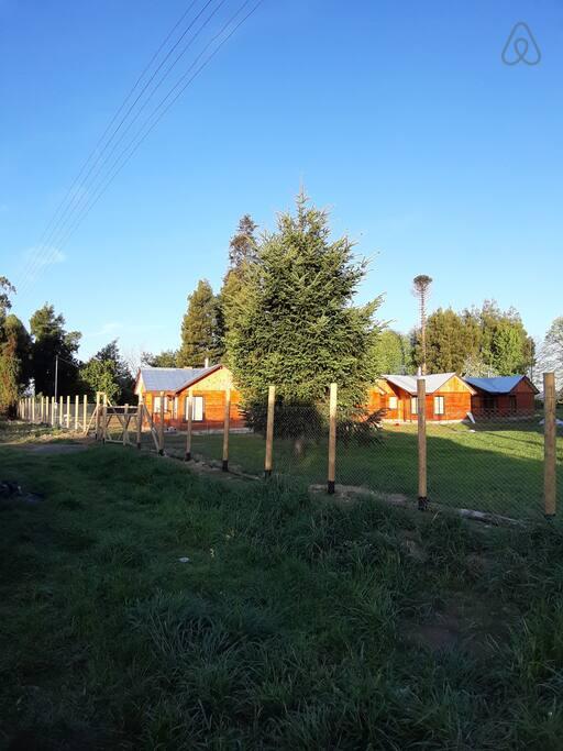 Fotografía 2 de Complejo Turistico Alto Pitrufquen en Pitrufquen, Araucania