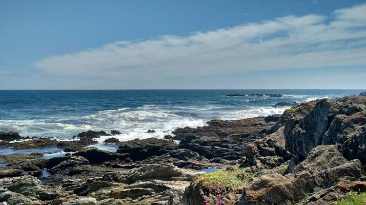 Fotografía 4 de Cabañas Tata Nano en Pichilemu, Ohiggins