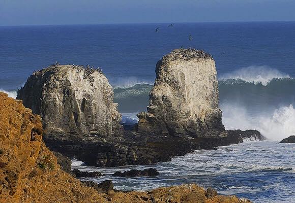 Fotografía 2 de Cabañas Swell en Pichilemu, Ohiggins