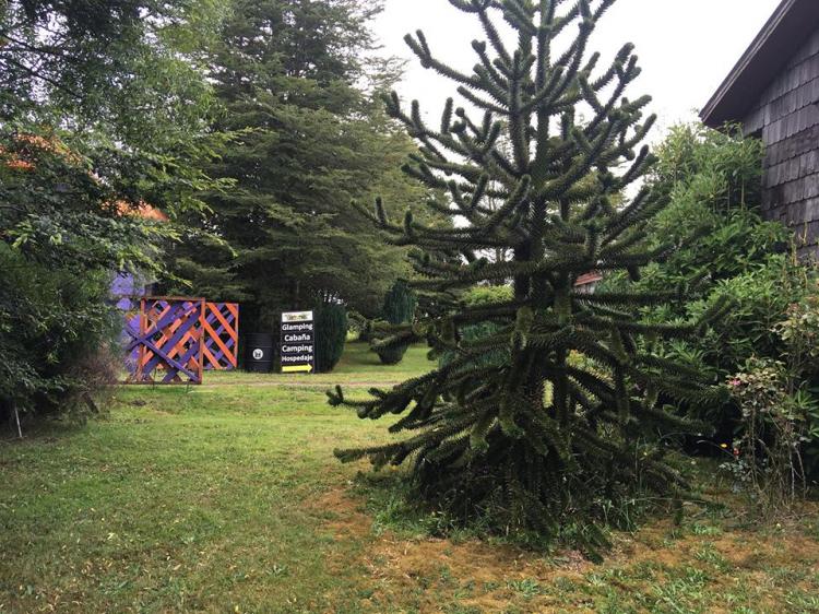 Fotografía 3 de Cabaña para 4 personas cerca de Castro-Chiloe en Castro, Los Lagos