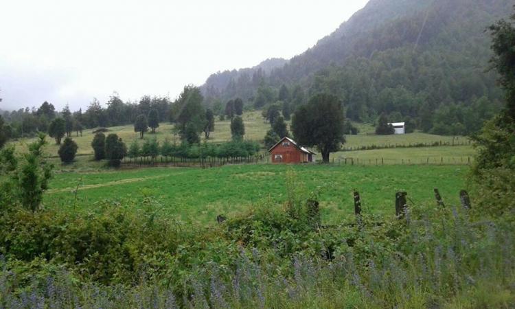 Fotografía 7 de Cabañas Ruka Pangui en Melipeuco, Araucania