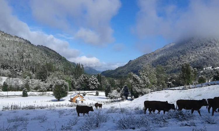 Fotografía 10 de Cabañas Ruka Pangui en Melipeuco, Araucania