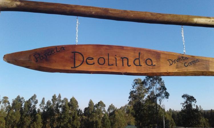 Fotografía 14 de Cabañas Deolinda en Navidad, Ohiggins