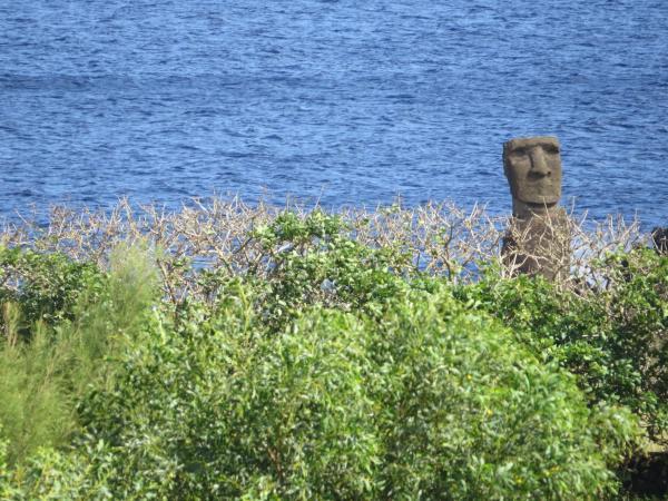 Fotografía 14 de HOSTAL Y CABAÁAS MANATEA en Isla De Pascua, Valparaiso