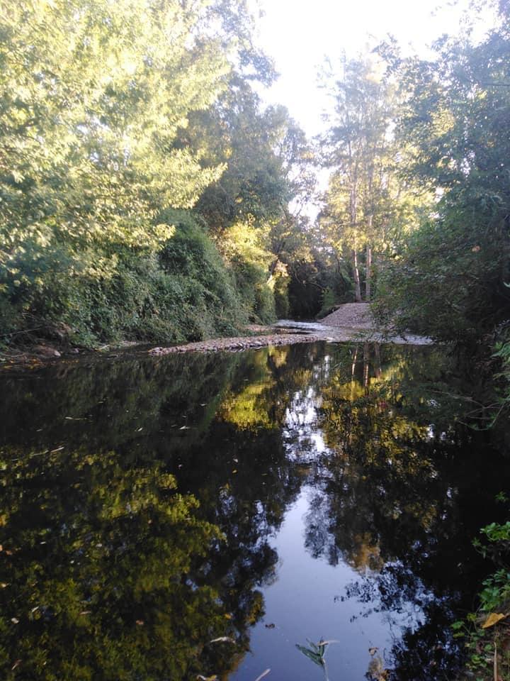 Fotografía 3 de Cabañas Tía Chela en Panguipulli, Los Rios