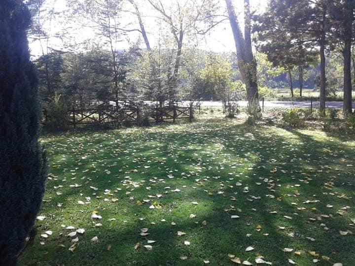Fotografía 7 de Cabañas Tía Chela en Panguipulli, Los Rios