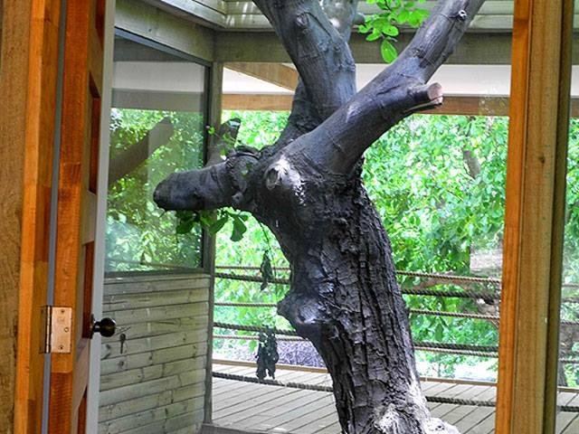 Fotografía 6 de Cabañas Nogalia en Cajon del Maipo, Metropolitana