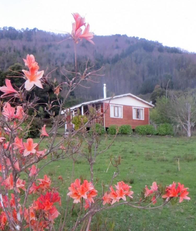 Fotografía 11 de Cabañas Rucantu en Contulmo, Bio Bio