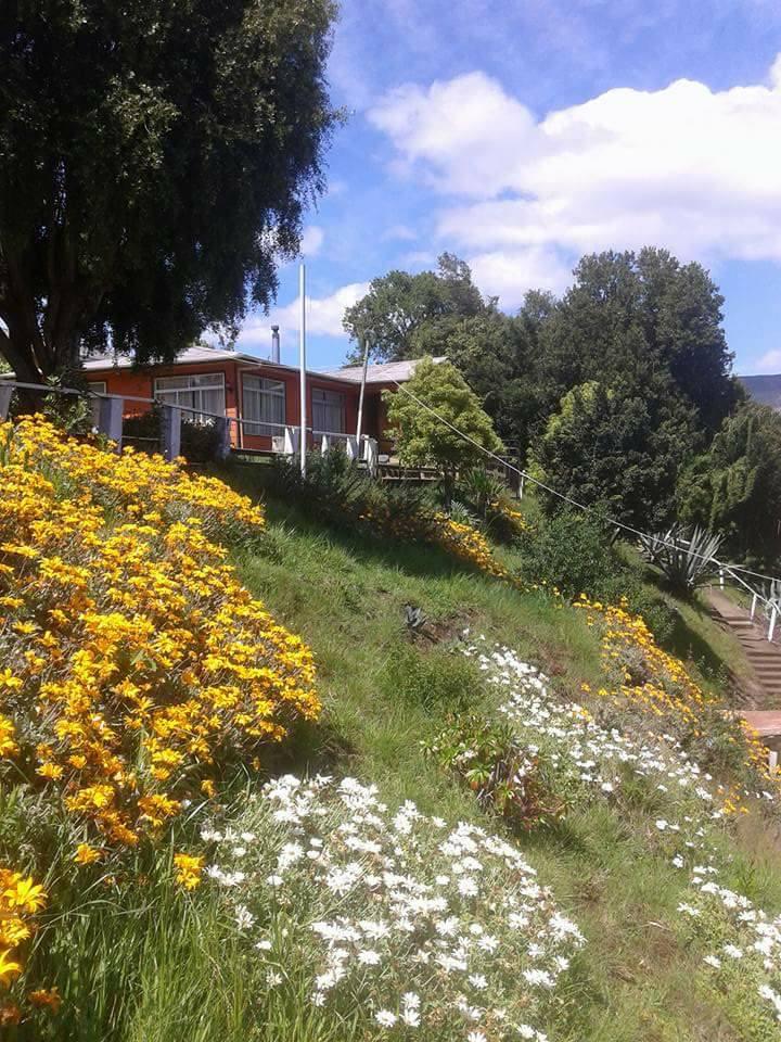 Fotografía 5 de Cabañas Los Notros en Cañete, Bio Bio