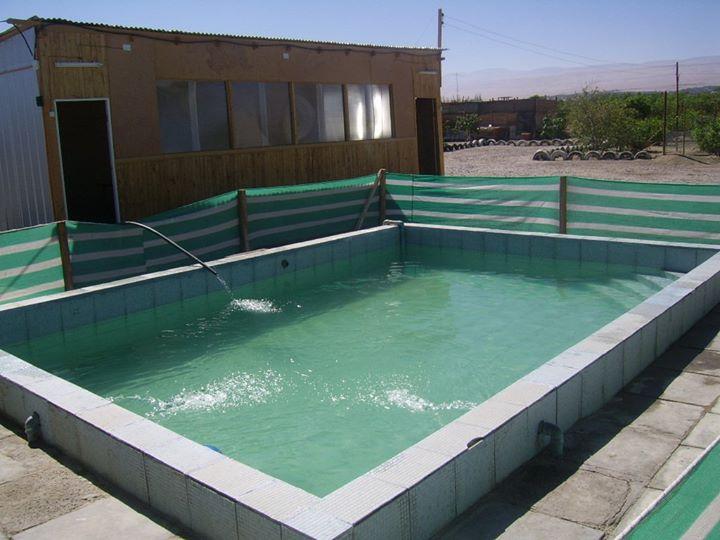 Fotografía 16 de Cabañas Las Chelitas en Pica, Tarapaca