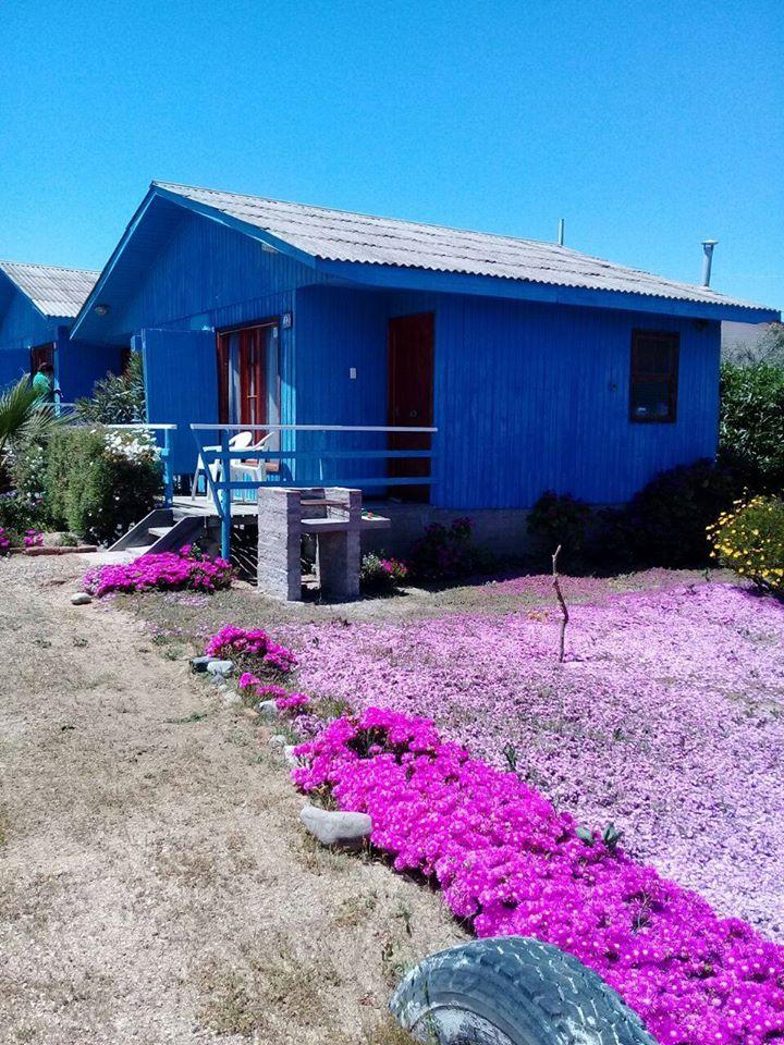 Fotografía 13 de Cabañas Villa Nirsa, El Tabo en El Tabo, Valparaiso