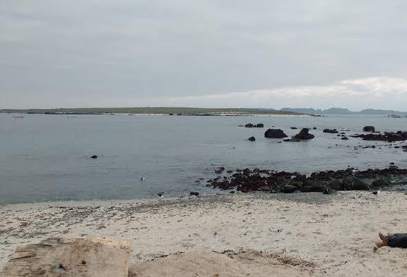 Fotografía 2 de Cabañas Punta De Choros en La Higuera, Coquimbo