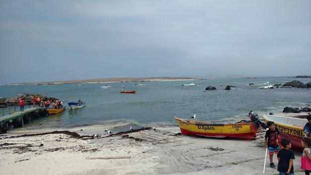 Fotografía 8 de Cabañas Punta De Choros en La Higuera, Coquimbo