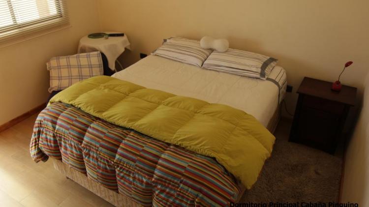 Fotografía 11 de Cabaña Albergo Punta de Choros en La Higuera, Coquimbo