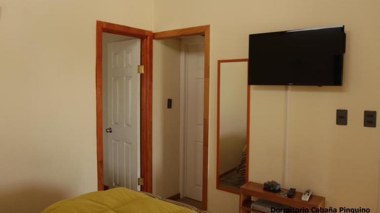 Fotografía 12 de Cabaña Albergo Punta de Choros en La Higuera, Coquimbo