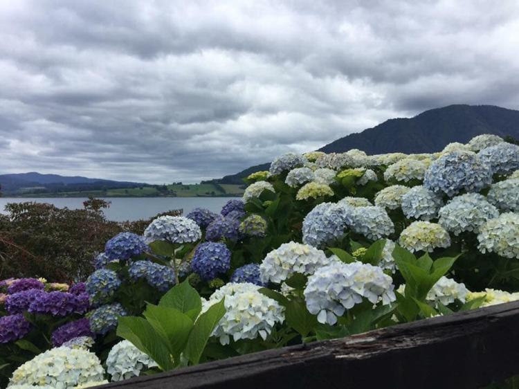 Fotografía 14 de Cabañas RÃ¼ngiwe - Lago RiñihÃ¼e en Panguipulli, Los Rios