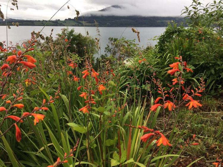 Fotografía 16 de Cabañas RÃ¼ngiwe - Lago RiñihÃ¼e en Panguipulli, Los Rios