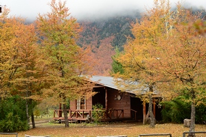 Cabañas Ruca Pehuen en Curacautin, Araucania